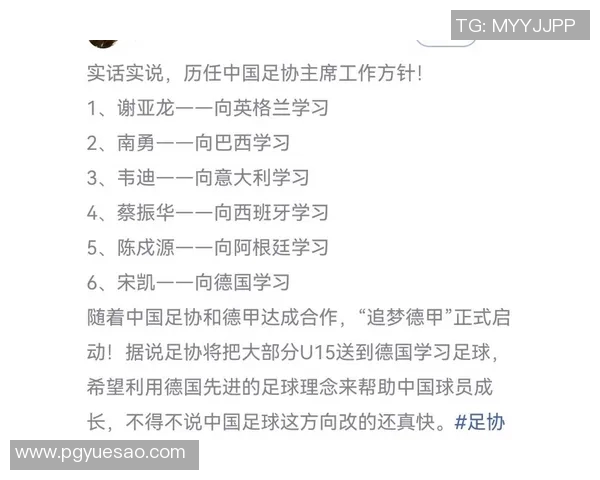 20世纪足球十大球星评选及其影响力对全球足坛的深远影响